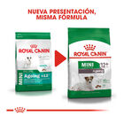 Royal Canin Adult 12+ Mini ração para cães  , , large image number null